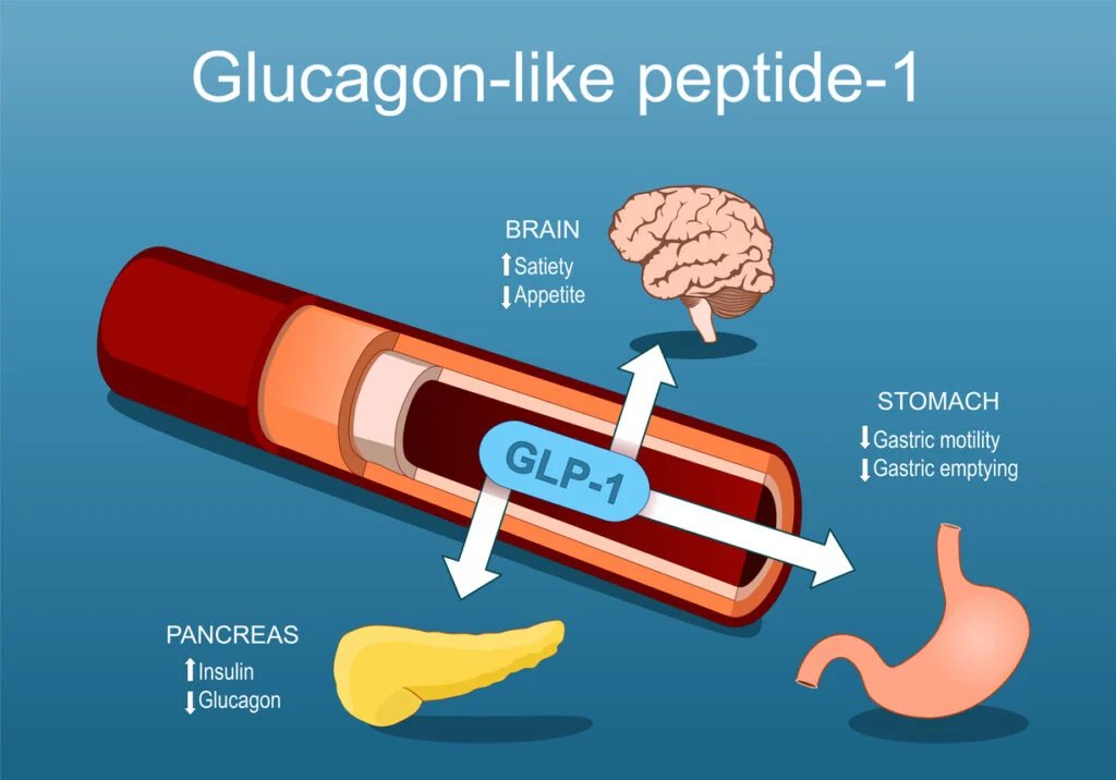 Los agonistas del GLP-1 en la bibliografía: semaglutida, tirzepatide, cagrilintide y retatrutide